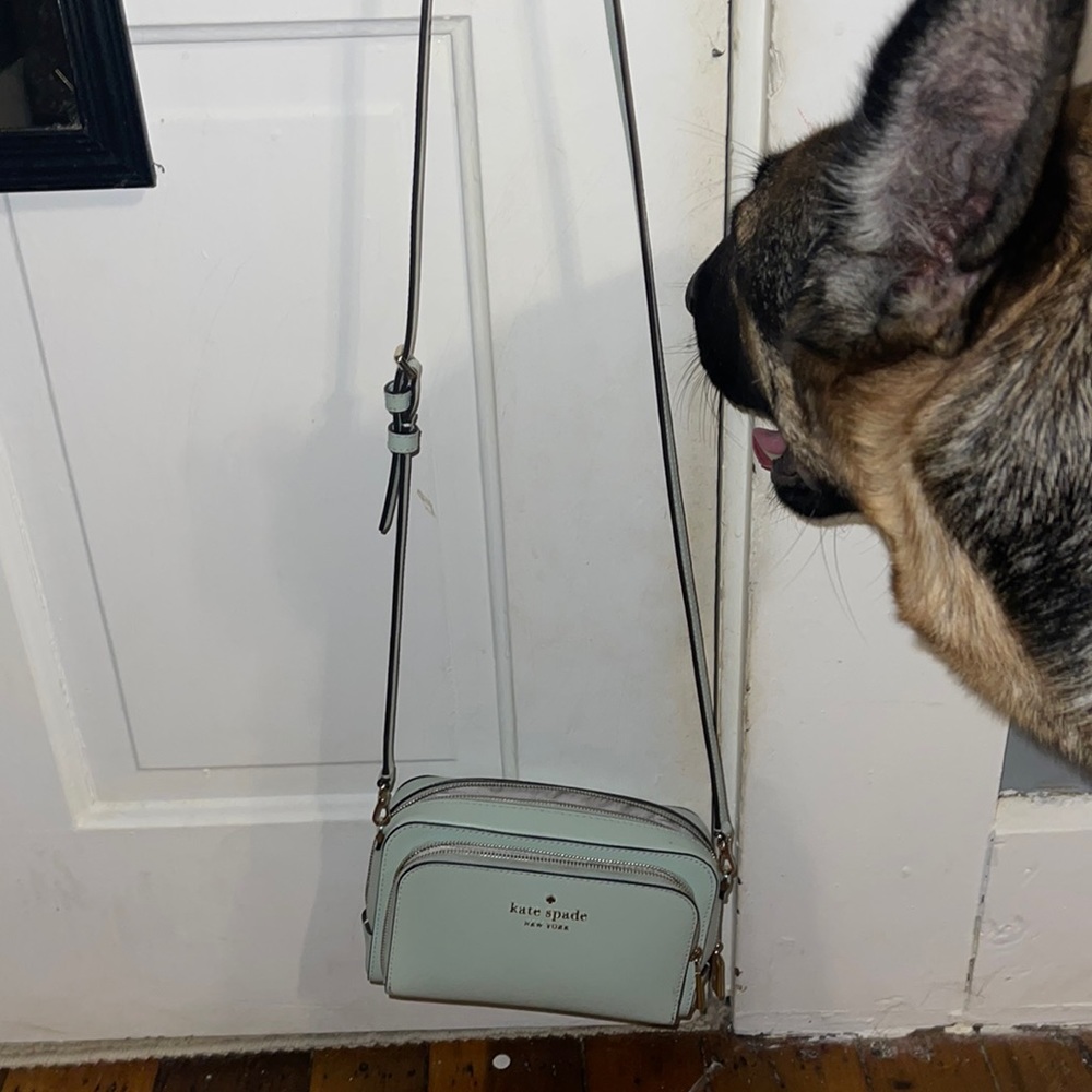 Katie Spade Purse